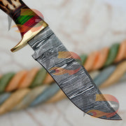 Custom Hand Forged Damascus Steel Hunting STAG HORN KNIFE Beautiful Bolster Handle , Comes With Pure Leather Sheath Hunting Terror Defender 