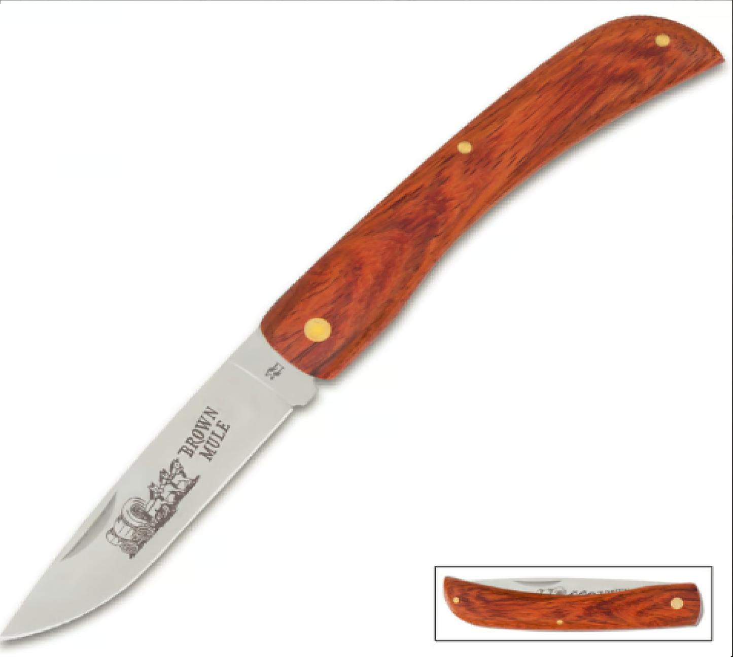 Medium Brown Mule Pocket Knife Folding knives Terror Defender 