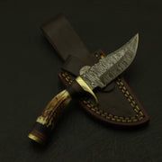 Collectible Handmade Damascus fixed blade Knife Beautiful Bolster handle+ Custom Sheath Hunting Terror Defender 