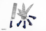 Damascus Steel Chef Kitchen Knife Set With Wood & Steel Guard Handle Hunting Terror Defender 