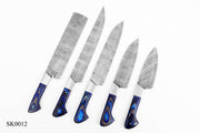 Damascus Steel Chef Kitchen Knife Set With Wood & Steel Guard Handle Hunting Terror Defender 