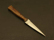 Handmade D2 Steel Blade Custom Pakka Wood Dagger Hunting Skinning Knife Hunting Terror Defender 