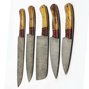 Handmade Damascus Chef Set Of 5 With Leather Sheath | Customize Your Personal Handle Knives Terror Defender 